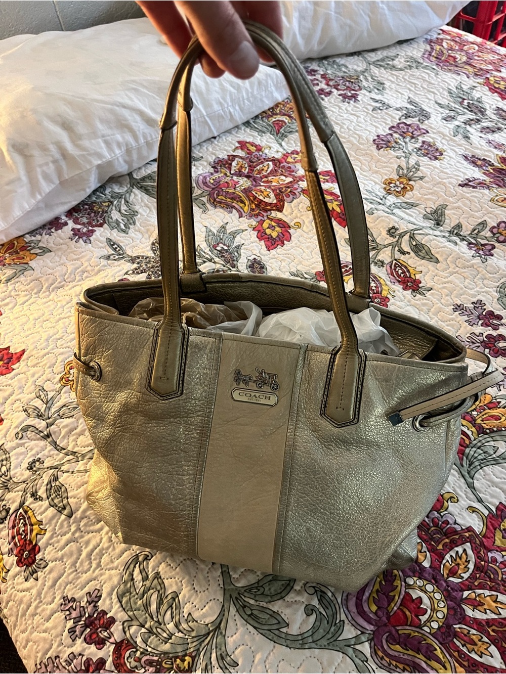 Women’s Coach Chelsea Charlie Carryall Leather Stripe Chrome Silver Tote 18962